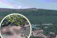 Localizan cuerpo flotando en la presa Endhó