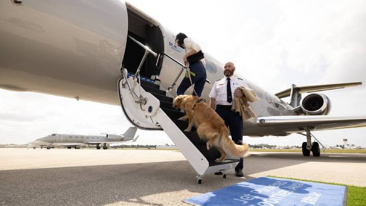 La Justicia Europea tratará a los animales de compañía como equipaje en los aviones