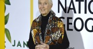 Photos: Remembering Jane Goodall, 1934