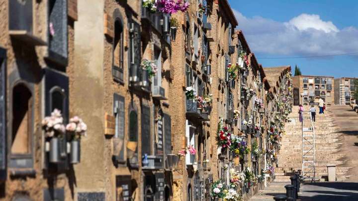 Estos son los buses especiales para ir al cementerio de Alicante por Todos los Santos