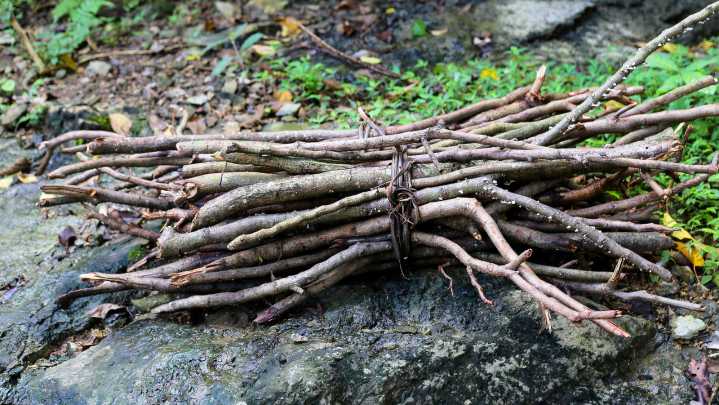 Would A DIY Garden Bed From Sticks Actually Work?