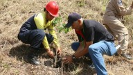 Inician Congreso Mundial en Defensa de la Madre Tierra con reforestación masiva