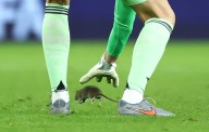Insólito. Una rata se metió al campo de juego durante el partido de Bélgica y Courtois la quiso agarrar pero se le escapó