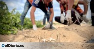 Gaza comienza a buscar a sus muertos entre los escombros tras el alto el fuego: "Encontrar un solo hueso nos aliviaría"