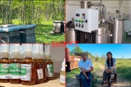 Cooperativa El Espinal apuesta al valor agregado y la sustentabilidad en la apicultura