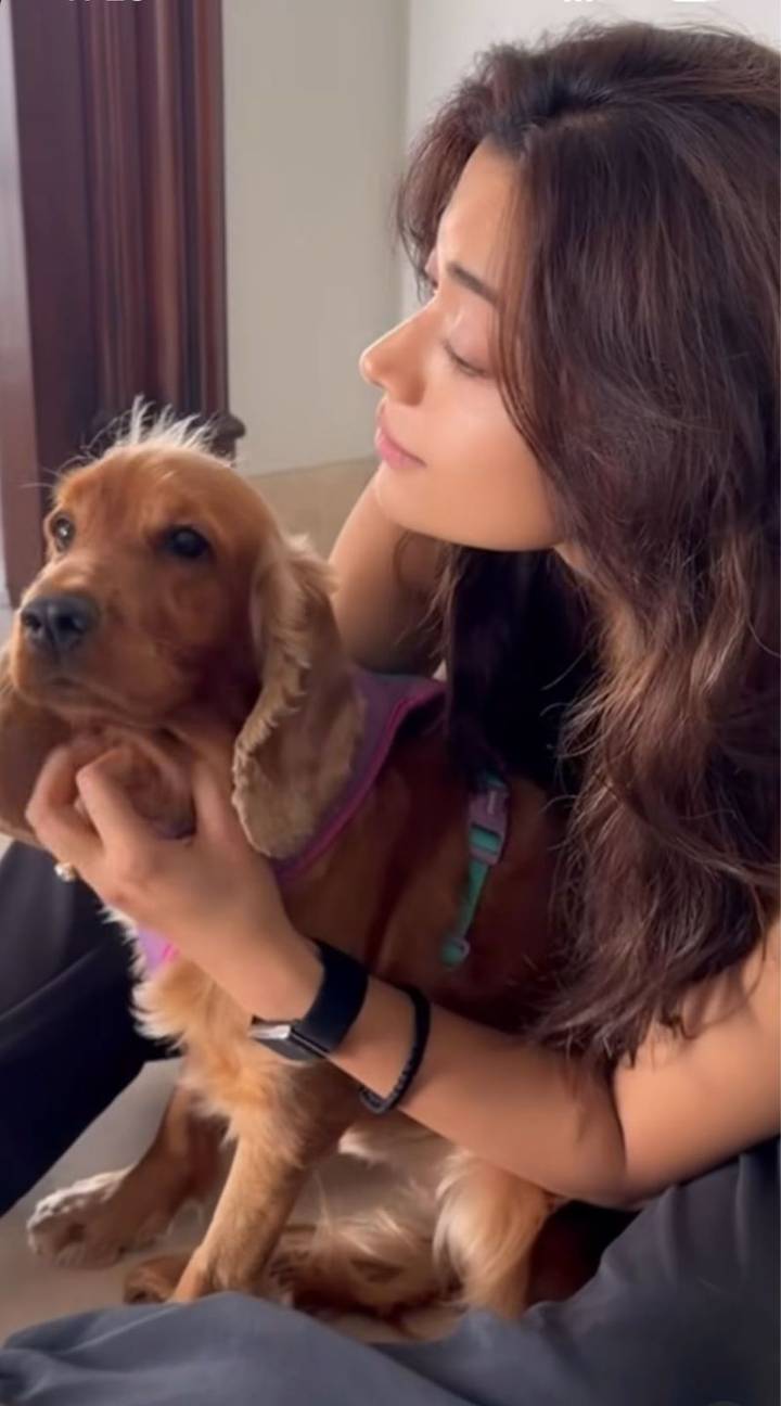 Rashmika Mandanna adorable dog reel turns into ring reveal