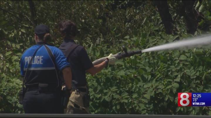 Experts warn of elevated risk for brush fires across Connecticut in October