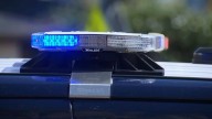 South Bay teen arrested over alleged gun crimes