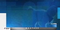Pet of the Week: Meet Ike & Taffy