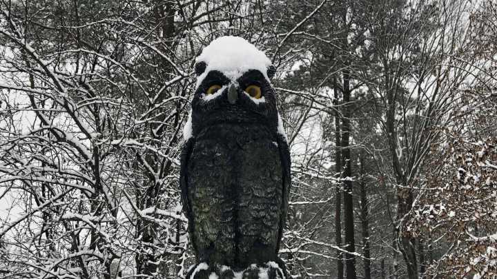 What the Old Farmer's Almanac predicts for this winter in Petersburg