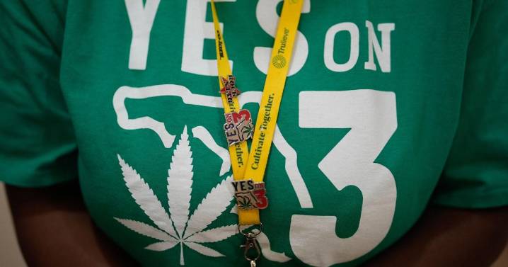 Campaign to legalize recreational marijuana takes DeSantis administration to state Supreme Court