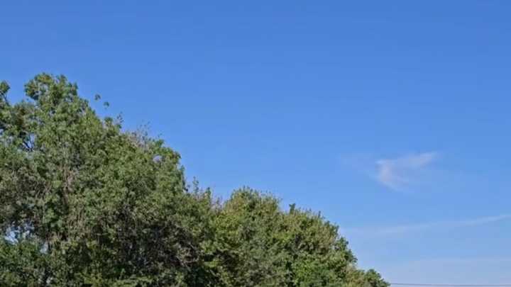 Le pillan robando, protagoniza una persecución de película y la Policía le salva de morir ahogado