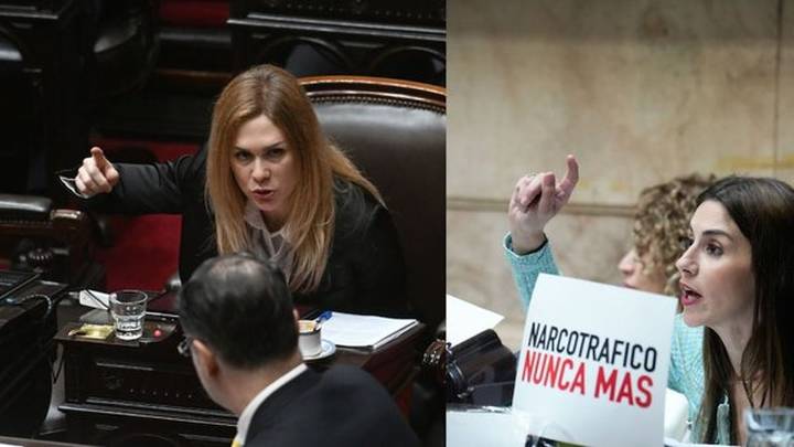 VIDEO: la escandalosa pelea entre Lilia Lemoine y Marcela Pagano en Diputados