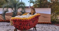 At a pumpkin festival near Berlin, powerful women take shape — one gourd at a time |