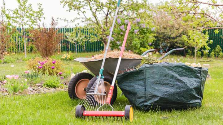 Why Fall Is The Best Time To Dethatch The Cool