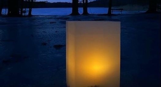 Annual Albany Lantern Parade to return in November