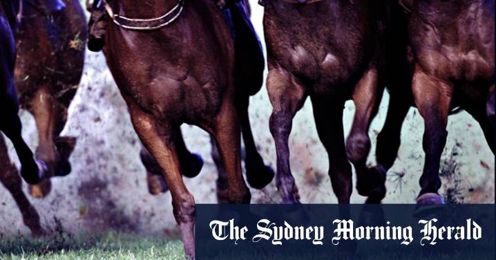 Race-by-race preview and tips for Taree on Friday