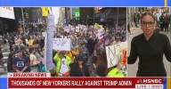MSNBC Reports NY No Kings Rally Draws Whopping Number That Dwarfs Last Protest
