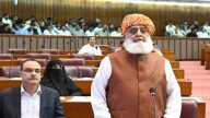 Pakistan's Maulana Fazlur Rehman Keen To Visit India With 'Message Of Peace'