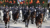 Los mejores sitios para ver el desfile del 12 de octubre: las claves que pocos conocen