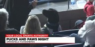 Thunderbirds Pucks and Paws night to benefit TJO