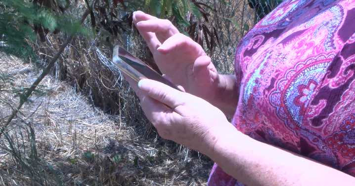 Disappointment grows over Hawaii's opt in alert system