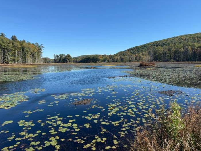 Yankeetown Pond owned by all