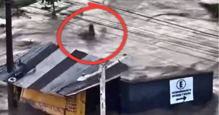Claman por ayuda en Poza Rica por inundaciones: videos muestran a personas arrastradas por el agua