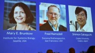 Who are Mary Brunkow, Fred Ramsdell and Shimon Sakaguchi? Three scientists share Nobel Prize in Physiology or Medicine