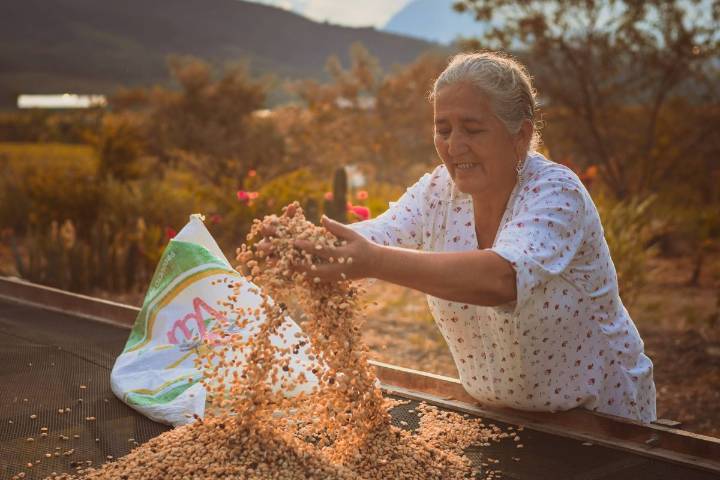 “San Martín tiene un enorme potencial para transitar hacia una economía circular, pero falta infraestructura y coherencia política”