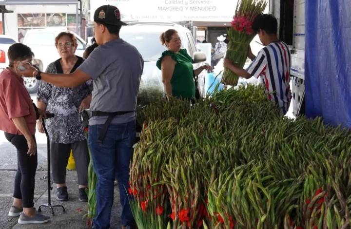 Arriban el miércoles las flores a Cajeme
