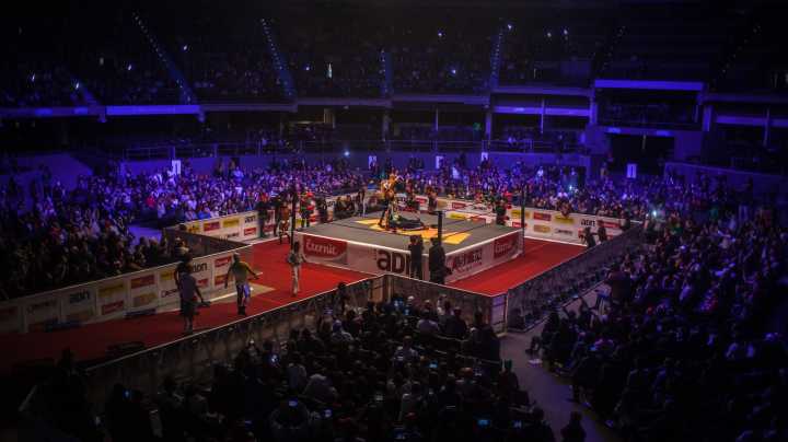 Backstage Update On Which AAA Stars Are Currently Listed On WWE's Internal Roster