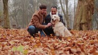 Riesgo de salud en mascotas aumentan en otoño, Tu Dinero aconseja