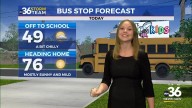 Fall-like and tranquil weather through the work week