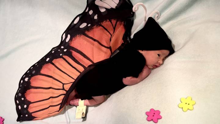 NICU babies celebrate first Halloween in crochet costumes at Rush Medical Center