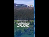 Environmental groups challenge large-scale logging plan in Lolo National Forest