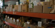 Federal workers without paychecks are feeling the pain