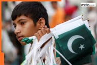 BIG setback for Pakistan economy as major companies exit country due to...; top names include Microsoft, Shell, Telenor, benefit for India because...