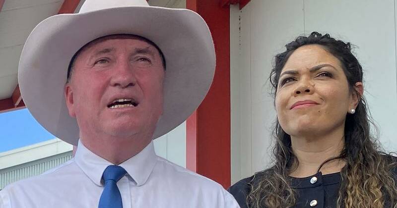 Barnaby 'free' after joining ranks of coalition outcast