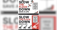 City of Spokane wants to buy 'Slow the Flock Down' signs to slow drivers