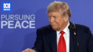 Donald Trump didn't receive the Nobel Peace Prize. Experts say he had 'no chance' at winning