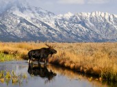 The 10 most visited national parks are open during the government shutdown. Here's what to expect if you go.