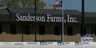 ‘Huge win’: Rep. Cody Harris says lawsuit against Neches & Trinity Valleys GCD, Sanderson Farms settled