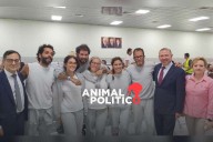 Repatrian a seis mexicanos detenidos en Israel que formaban parte de la Flotilla Global Sumud