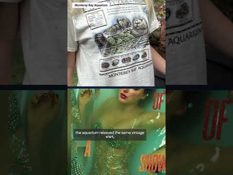 Swifties raise $2 million for Monterey Bay Aquarium otters with t