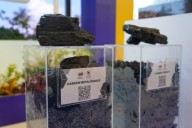 Maracaibo celebra el Congreso Internacional del Carbón 2025