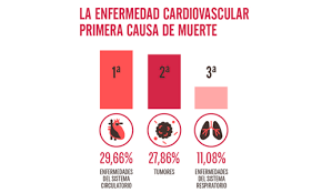 Enfermedades cardiovasculares: la primera causa de muerte en el mundo y la alerta para Colombia -