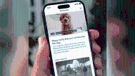 Ring launching new AI-powered neighborhood watch program for finding missing dogs