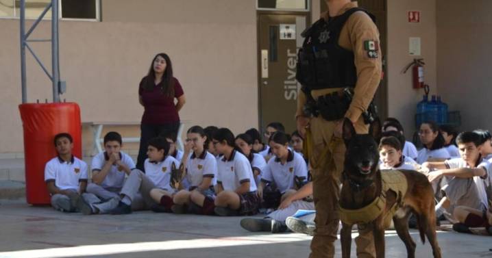 MEXICALI BRIEFS: K9 Hero 'López' ends storied 8-year career with final demonstration