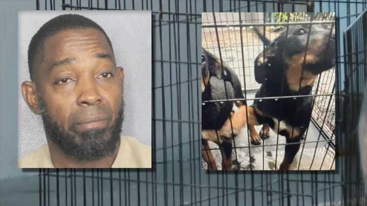 Pompano Beach man accused of leaving 2 dogs in cages on driveway with no food for days, police say